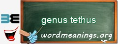 WordMeaning blackboard for genus tethus